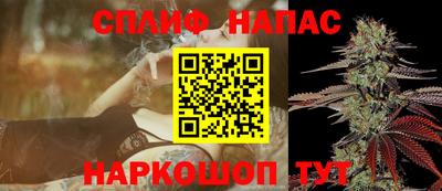 винт Шахты