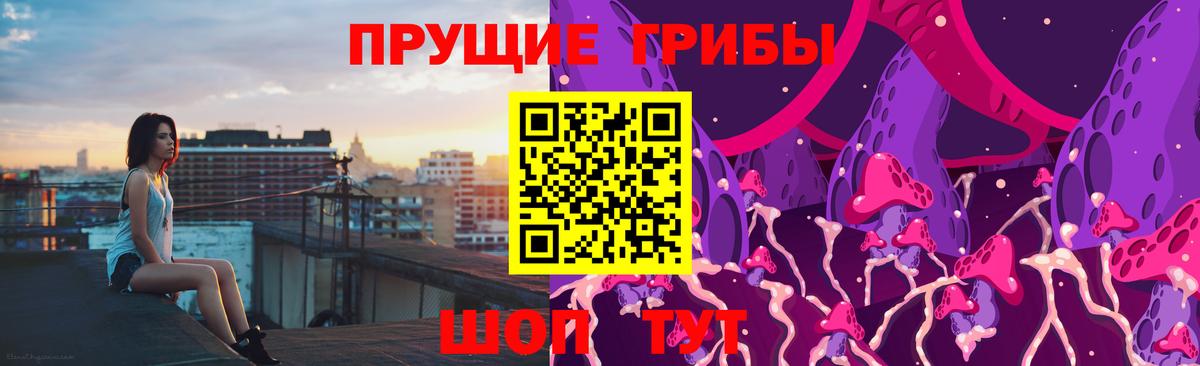Псилоцибиновые грибы мицелий Лосино-Петровский